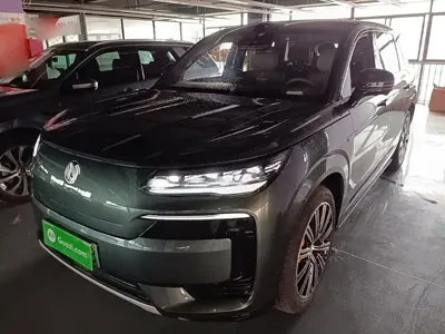 Denza 腾势N9 · 2025 год