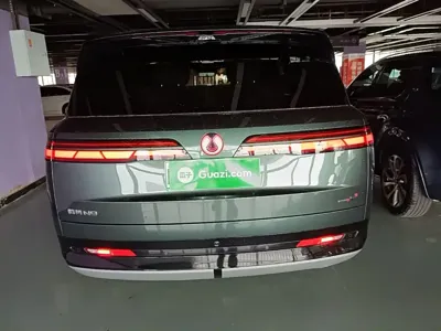 Denza 腾势N9