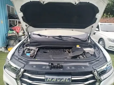 Haval H6 2022, 74000 км, за 7395.02 USD - фото 20