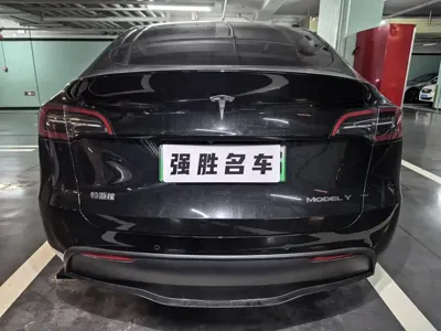 Tesla Model Y 2024, 54000 км, за 26410.77 USD