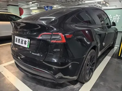 Tesla Model Y 2024, 54000 км, за 26283.17 USD - фото 6