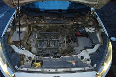 Ford Escort 2015, 83600 км, за 2880 USD - фото 21
