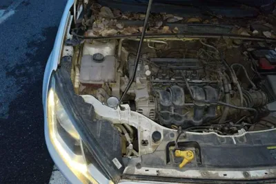 Ford Escort 2015, 83600 км, за 2880 USD - фото 23