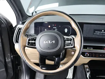Kia Sorento 2024, 21121 км, за 25276.89 USD - фото 14
