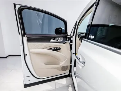 Denza Denza D9
