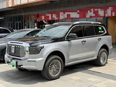 Tank Tank 500 New Energy · 2024 год