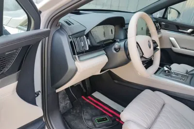 BYD Tang New Energy 2025, 1500 км, за 23609 USD - фото 18