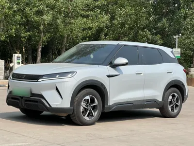 BYD Yuan Up · 2024 год