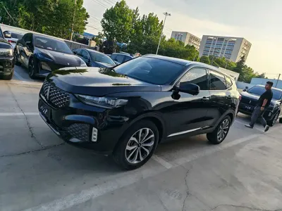 WEY Wey VV6 · 2020 год