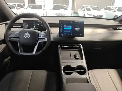 BYD Qin Plus 2026, 100 км, за 10417.58 USD - фото 14