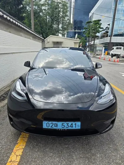 Tesla Model Y · 2024 год