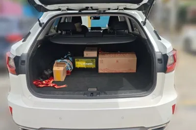 Lexus RX 2016, 92100 км, за 21973 USD - фото 19