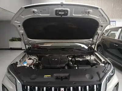 Hongqi Hongqi HS5 2023, 16500 км, за 15199.82 USD - фото 20