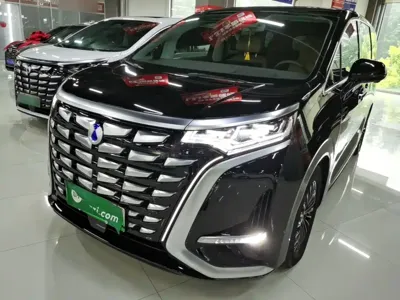 Denza Denza D9 2023, 37500 км, за 32465.58 USD