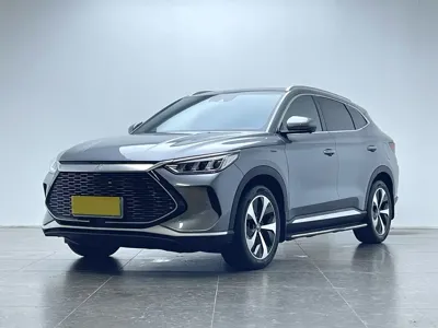BYD PLUS New Energy · 2023 год