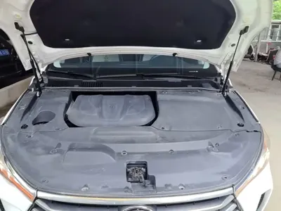 BYD MAX