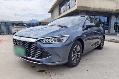BYD Qin Plus · 2024 год