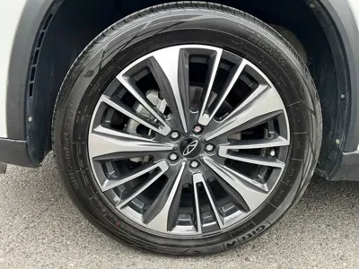 Chery Tiggo 8 Plus 2024, 37000 км, за 11594.83 USD - фото 29