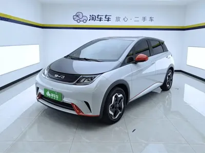 BYD Dolphin · 2023 год