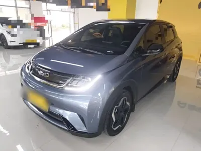 BYD Dolphin 2025, 25900 км, за 10329.41 USD
