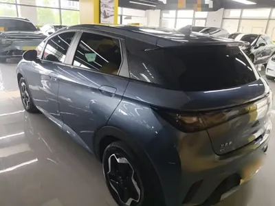 BYD Dolphin 2025, 25900 км, за 10329.41 USD