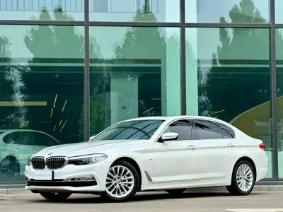 BMW 5 Series · 2019 год