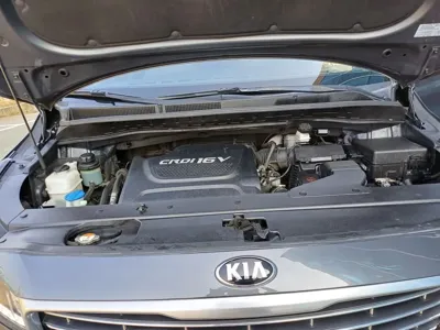 Kia Canival 2017, 156960 км, за 8259 USD - фото 20