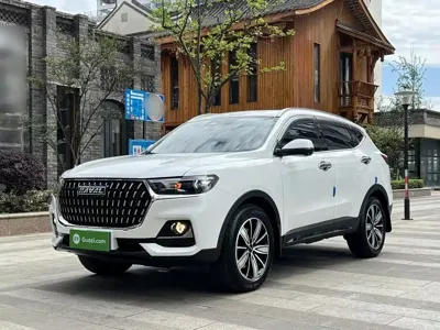 Haval H6 · 2024 год