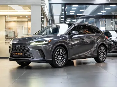 Lexus RX New Energy · 2023 год
