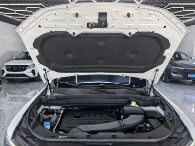 Haval H6 2022, 52000 км, за 10889.86 USD - фото 22