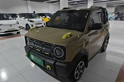 Geely Galaxy Panda · 2024 год