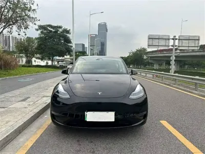 Tesla Model Y 2021, 56000 км, за 20451.14 USD