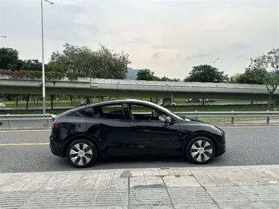 Tesla Model Y 2021, 56000 км, за 20451.14 USD - фото 9