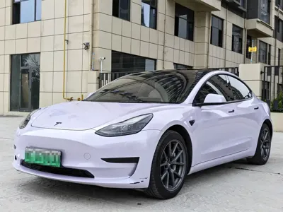 Tesla Model 3 · 2021 год