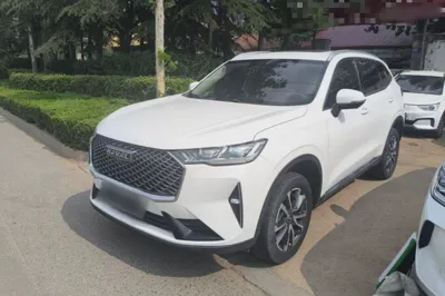 Haval H6 · 2021 год