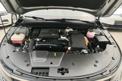 BYD Destroyer 05 2022, 63900 км, за 9768 USD - фото 24