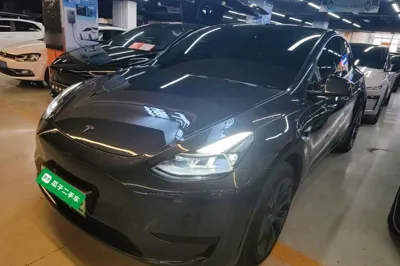 Tesla Model Y · 2024 год