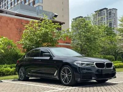 BMW 5 Series · 2020 год