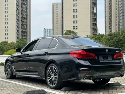 BMW 5 Series 2020, 75000 км, за 27261.64 USD - фото 9