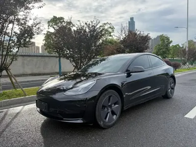 Tesla Model 3 · 2022 год