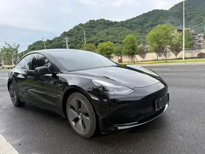 Tesla Model 3 2022, 72000 км, за 16597.68 USD