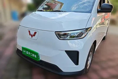Wuling Yangguang · 2026 год