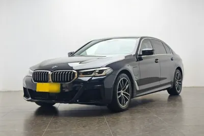 BMW 5 Series New Energy · 2021 год