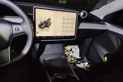 Tesla Model Y 2024, 24200 км, за 29514 USD - фото 13