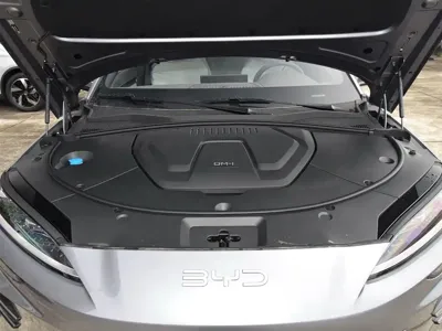 BYD PLUS New Energy 2025, 9000 км, за 17039.1 USD - фото 8