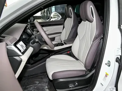 BYD PLUS New Energy 2025, 9000 км, за 17039.1 USD - фото 10