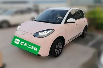 Wuling Bingo · 2024 год