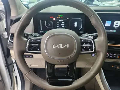 Kia Canival 2024, 49385 км, за 29349.57 USD