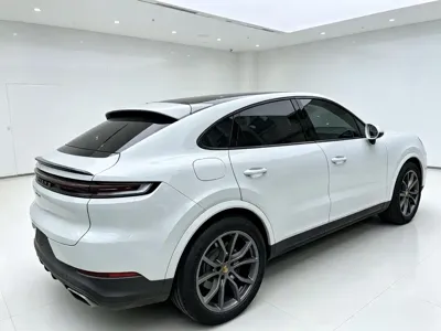 Porsche Cayenne 2023, 54000 км, за 96937.5 USD - фото 10