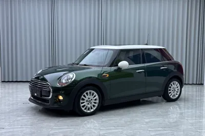 MINI MINI · 2016 год
